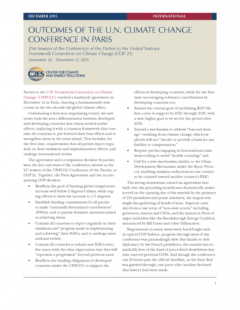 combat climate change essay