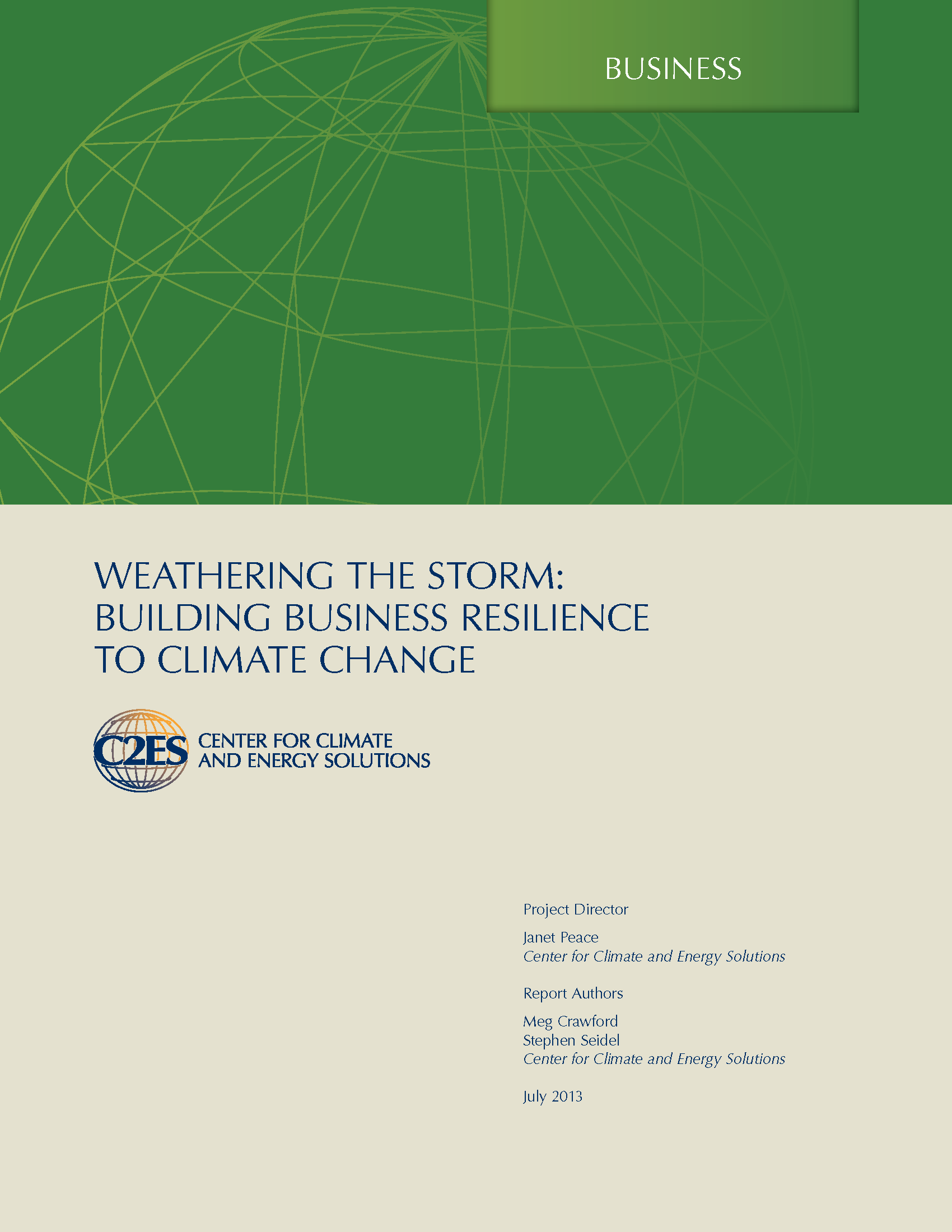 Weathering the Storm: Climate Change Insurance Solutions