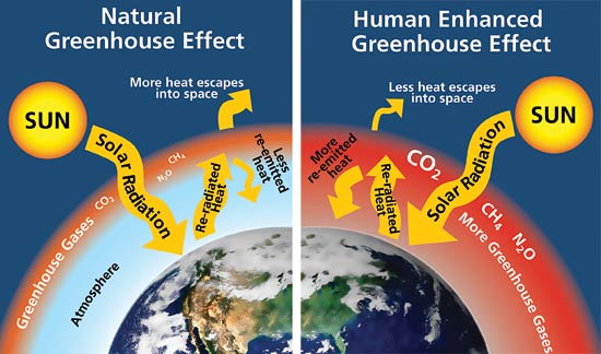 The greenhouse effect is a natural process that warms the Earth's surface, to create conditions that are just right to life to thrive. Greenhouse gases are part of Earth's atmosphere. When the Sun's energy reaches the Earth's atmosphere, some of it is reflected back to space and some is absorbed and re-radiated by greenhouse gases. The anthropogenic greenhouse effect is due to greenhouse gases emitted by humans, which amplify the natural greenhouse effect. This leads to global warming. Alt text!