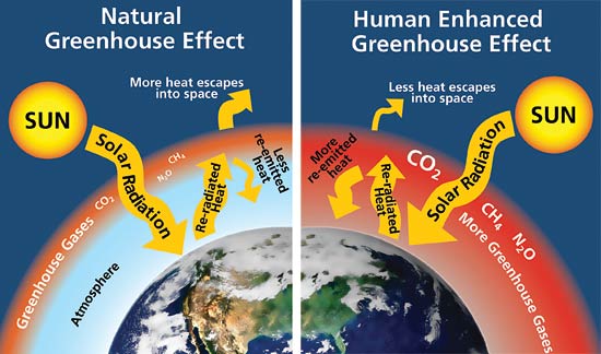 human contribution to global warming