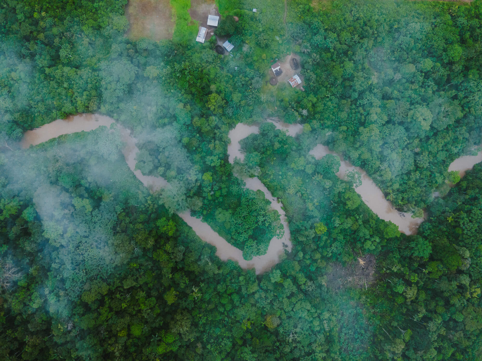 Overhead drone view of amazon river with green tree canopy and winding brown river.